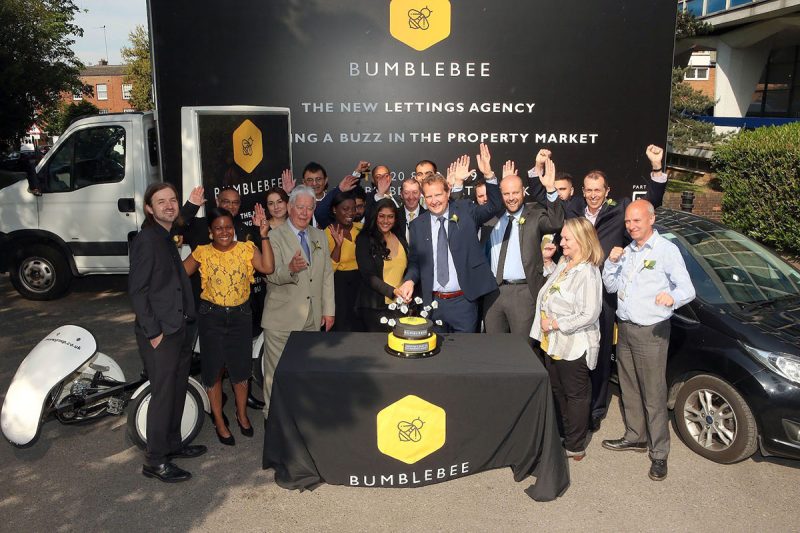 Bumblebee - The Barnet Group